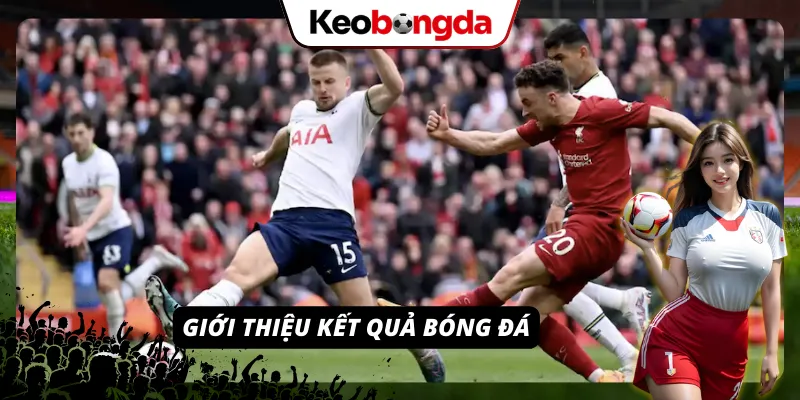 Kết Quả Bóng Đá – Cập Nhật Tỉ Số Trực Tuyến Nhanh Gọn Lẹ Giải thích và giới thiệu về kết quả bóng đá