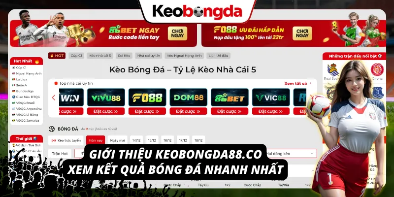 Kết Quả Bóng Đá – Cập Nhật Tỉ Số Trực Tuyến Nhanh Gọn Lẹ Kèo Bóng Đá – điểm đến xem kết quả bóng đá tức thì