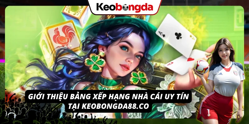 Khám phá bảng đánh giá các nhà cái uy tín tại keobongdaup15.com