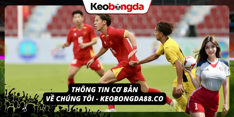 Về Chúng Tôi – Chuyên Trang Kèo Bóng Đá Tuyệt Đối Chất Lượng Giới thiệu tổng quan về chúng tôi – Keobongda88.co