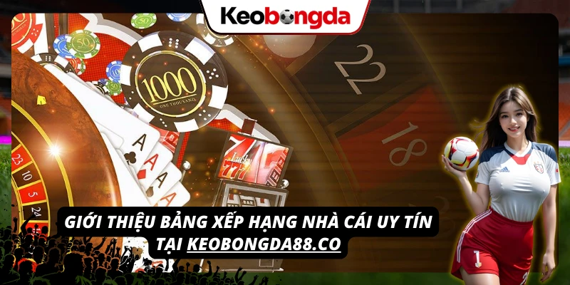 Khám phá bảng xếp hạng các nhà cái VIVU88 uy tín tại keobongdaup15.com