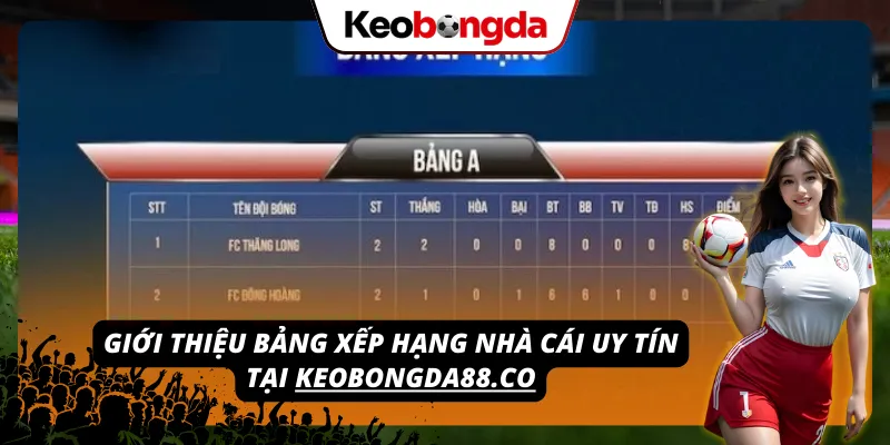 ZOWIN - Khám Phá Thế Giới Cá Cược Online Đầy Sôi Động 2026 Mang đến bảng xếp hạng các đơn vị cá cược uy tín trên website keobongdaup15.com